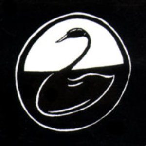 Imagen de 'Black Swan Network'
