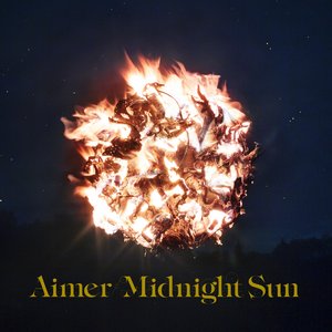 “Midnight Sun”的封面