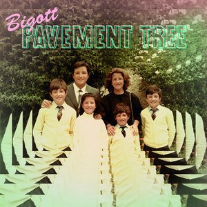 Image for 'Pavement Tree'