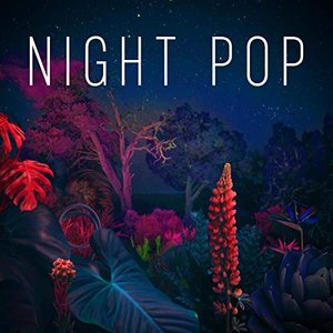 Image for 'Night Pop'