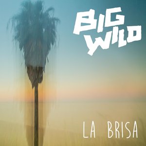 Image for 'La Brisa'