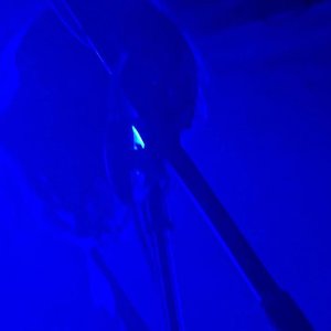 “Too Many Things”的封面