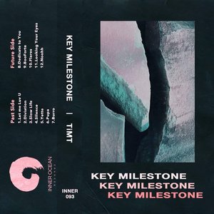 Image for 'Key Milestone'