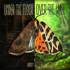 Immagine per 'under the floor, over the wall'