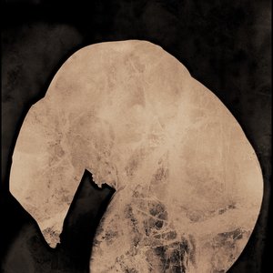 Image for 'Refugees of the Symbolic Network'