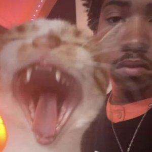 Image for 'Thank You Dean Blunt for Saving My Life'