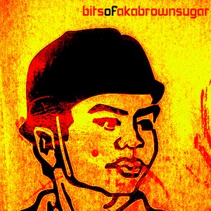 Image for 'bitsofakabrownsugar'