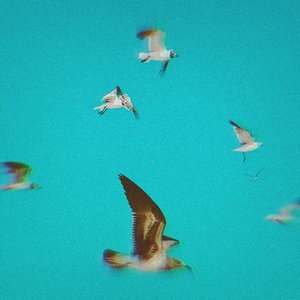 Image for 'i wish'