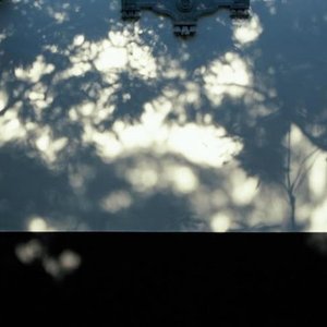 Zdjęcia dla 'imightbeafool'