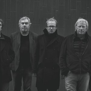 Bild für 'The Analogues'