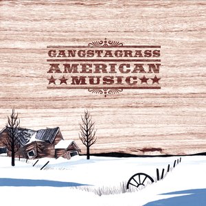 “American Music”的封面