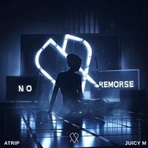 Image for 'No Remorse'