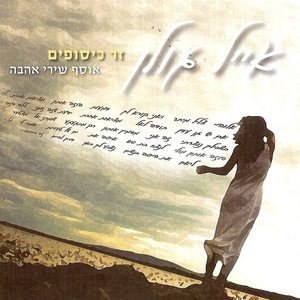 “זר כיסופים”的封面