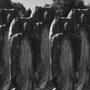 Image for 'Petrified Entity'