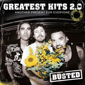 Image pour 'Greatest Hits 2.0 (Another Present For Everyone)'