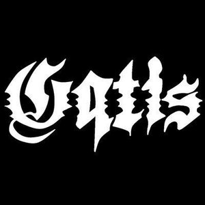 Image for 'gqtis'