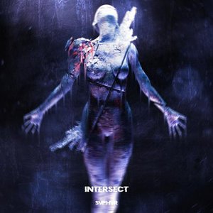 “Intersect”的封面