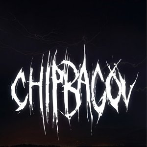 “chipbagov”的封面