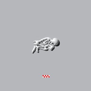 “voor alles bang / h-e-l-p”的封面