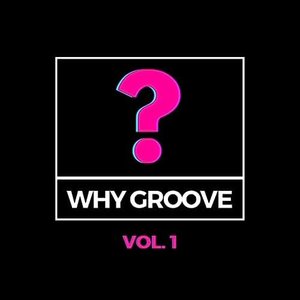 Immagine per 'Why Groove?, Vol. 1'