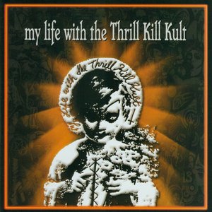 “My Life With The Thrill Kill Kult”的封面