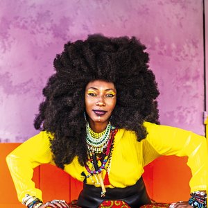 Immagine per 'Fatoumata Diawara'