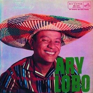 Image for 'Ary Lobo'