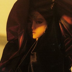 Immagine per 'Akina Nakamori'