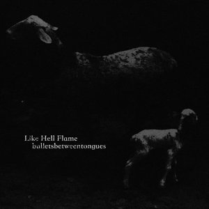 Immagine per 'Like Hell Flame'