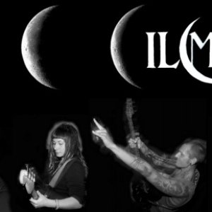 Image for 'IL Male'