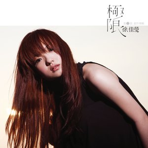 “極限”的封面