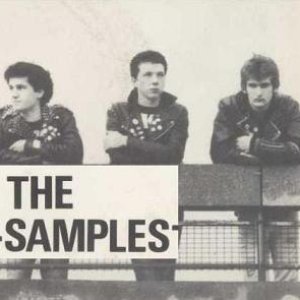 Image pour 'The Samples'