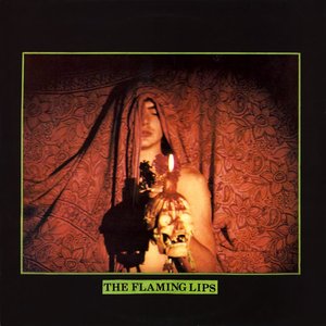 Image pour 'The Flaming Lips'