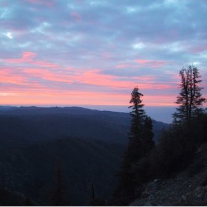 “Nature Recordings”的封面