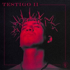 Image for 'Testigo II'