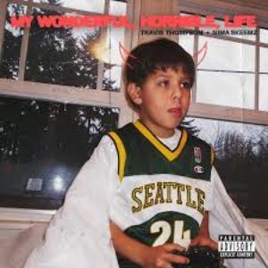 “MY WONDERFUL, HORRIBLE LIFE”的封面
