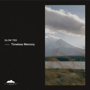 “Timeless Memory”的封面