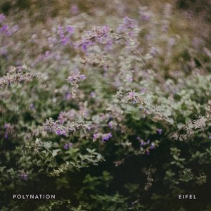Image for 'Eifel'