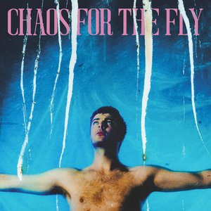 Image for 'Chaos for the Fly'