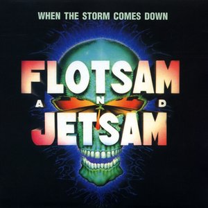 Image for 'When the Storm Comes Down'