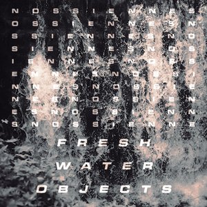 Image for 'Fresh Water Objects'