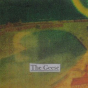 Image pour 'The Geese'