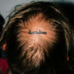 Image for 'dorndom'