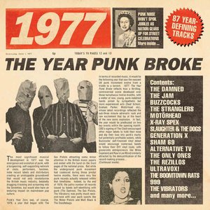 Image for '1977: The Year Punk Broke'
