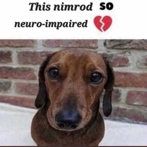 endrgoat