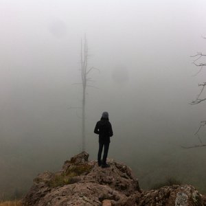 Image for 'Vinter'