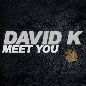 Image pour 'Meet You (Remixes)'