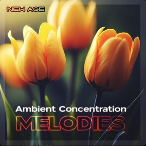 Immagine per 'Ambient Concentration Melodies'
