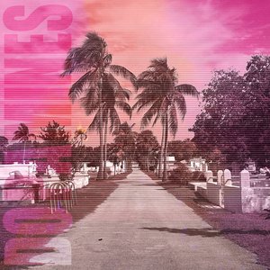 Image for '80/20'