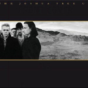 'The Joshua Tree (Remastered - Deluxe version)'の画像